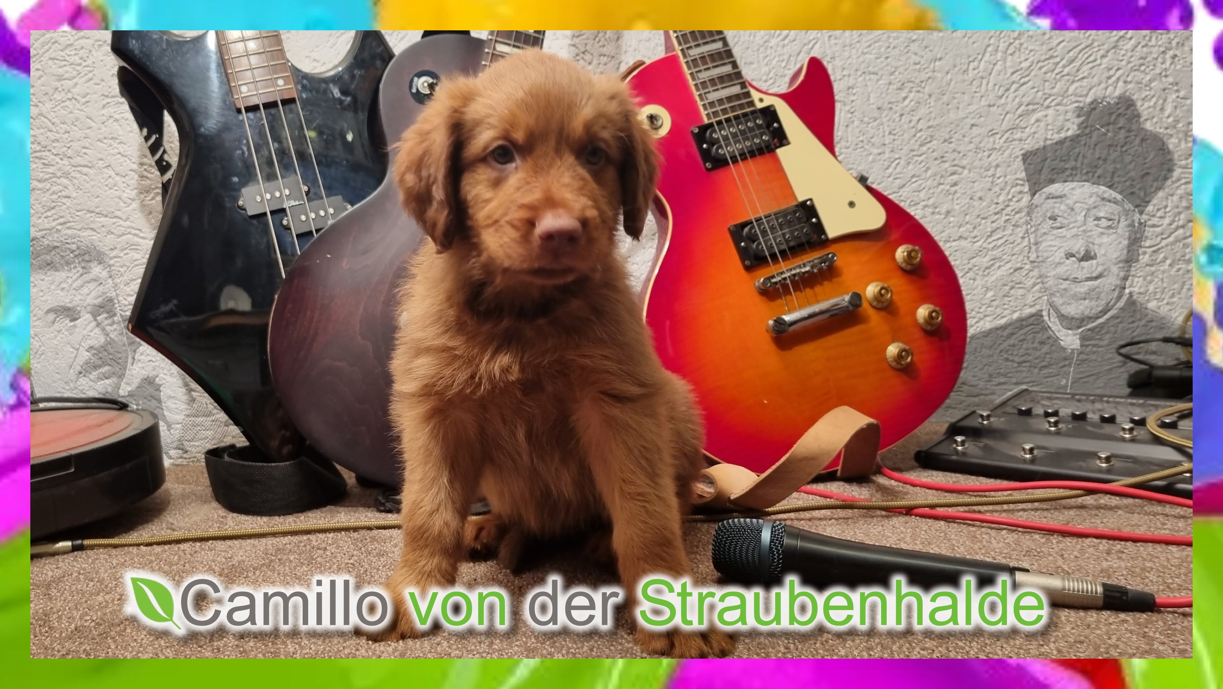 Wäller von der Straubenhalde